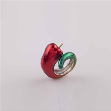 Multicolored Enamel Ring  R1 1282