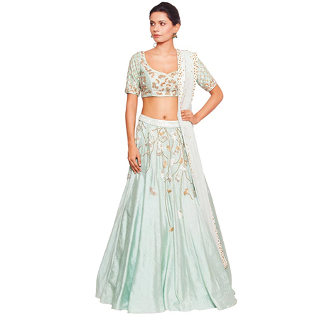 Salt and Spring - Mint Green Choli with Matching Skirt & Embroidered Pearl Vines Dupatta - BL-13001-SK-6001