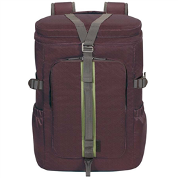 Targus Seoul 14 inch Laptop Backpack (Wine) TSB90603-70