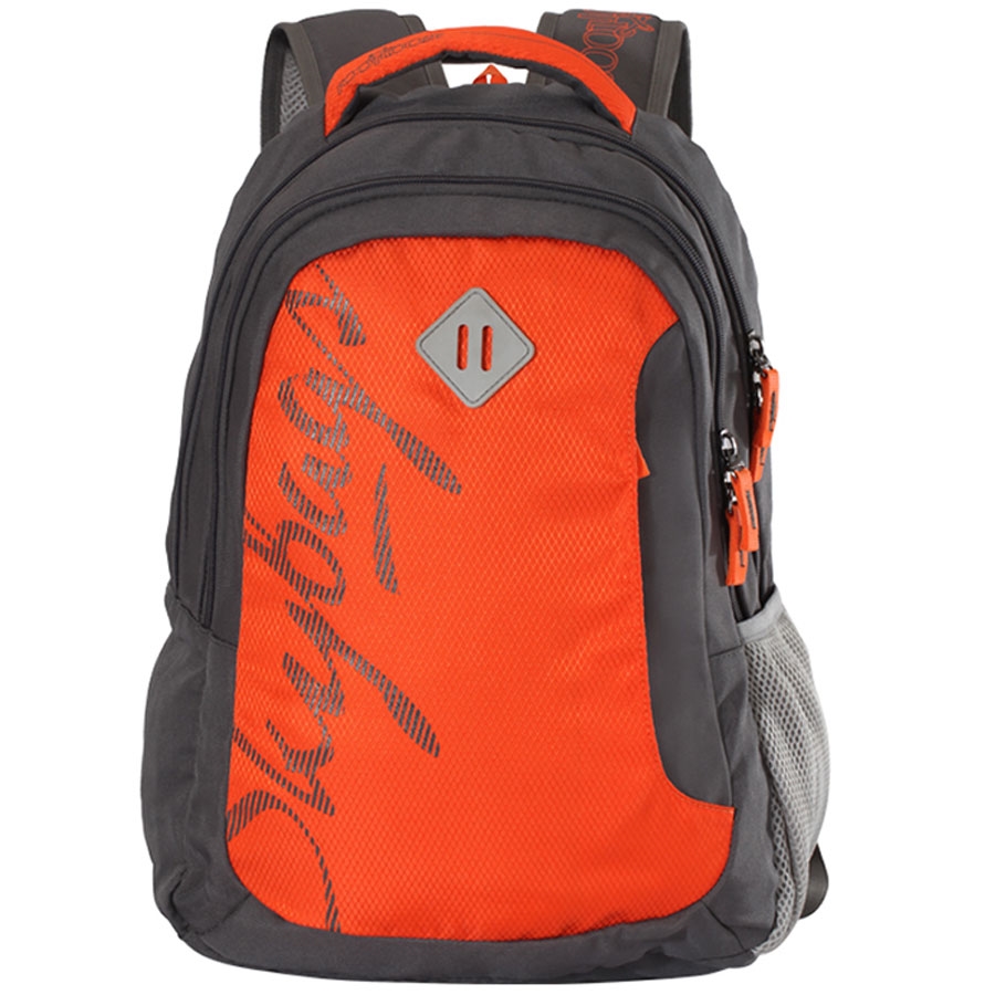 Skybags bpleo1ong 24 hotsell l backpack