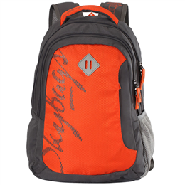 Skybags Footloose Leo 01 Backpack Orange - BPLEO1ONG