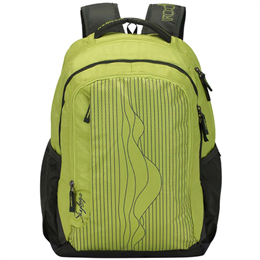 Skybags Footloose Helix 01 Backpack Green - BPHELFS1GRN