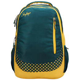 Skybags Footloose Blitz Plus 02 Laptop Backpack Green - LPBPBLPF2GRN