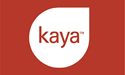 Kaya