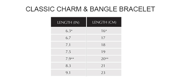 Classic Charm & Bangle Bracelet