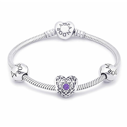 Pandora February Birthstone Bracelet