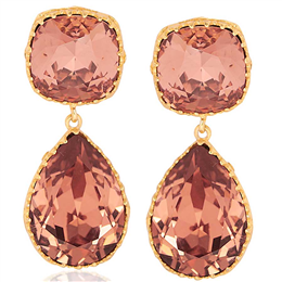 Eina Ahluwalia Pink Persian Back Jaal Earring