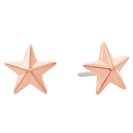 Michael Kors Rose Gold-Tone Star Stud Earrings MKJ6727