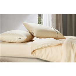 Spread Regular Pillow Covers Set - Gold Pc