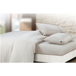 Spread Regular Pillow Covers Set - Champagne Pc