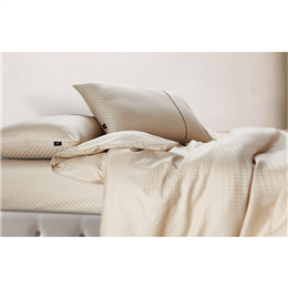 Spread Regular Pillow Covers Set - Mouse Pc