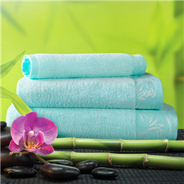 Spread  Regular Towel Packs Set - Bamboo Mint