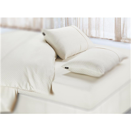 Spread Oxford Regular Pillow Covers Set - Cream Pc