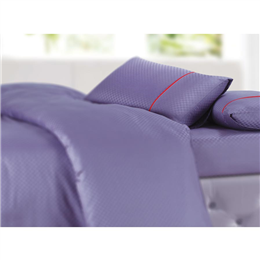 Spread Oxford Regular Pillow Covers Set - Lilac Pc